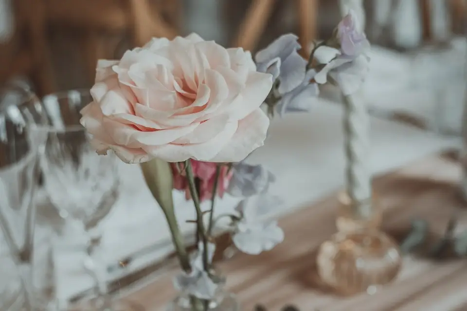 Daylight Flower — photo 4