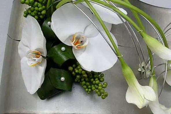 Gwen Flor — photo 2