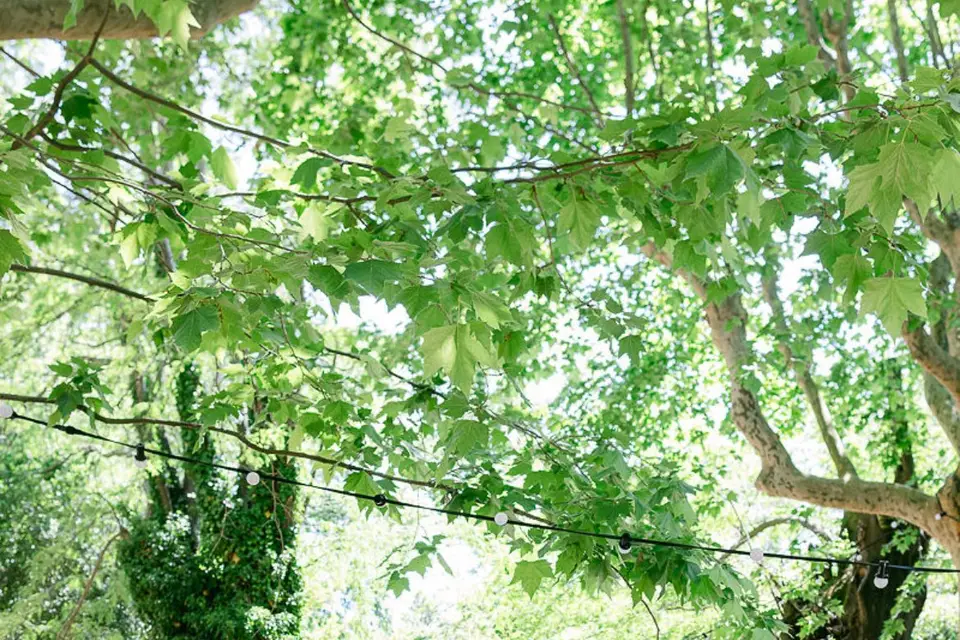 Château de Villèle — photo 2