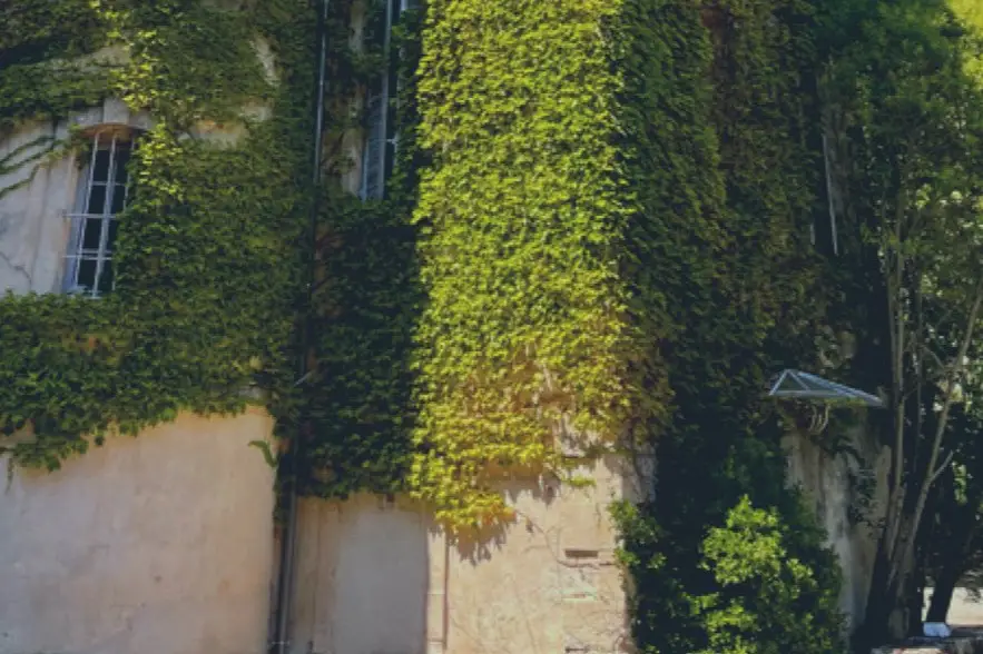 Château de Villèle — photo 8