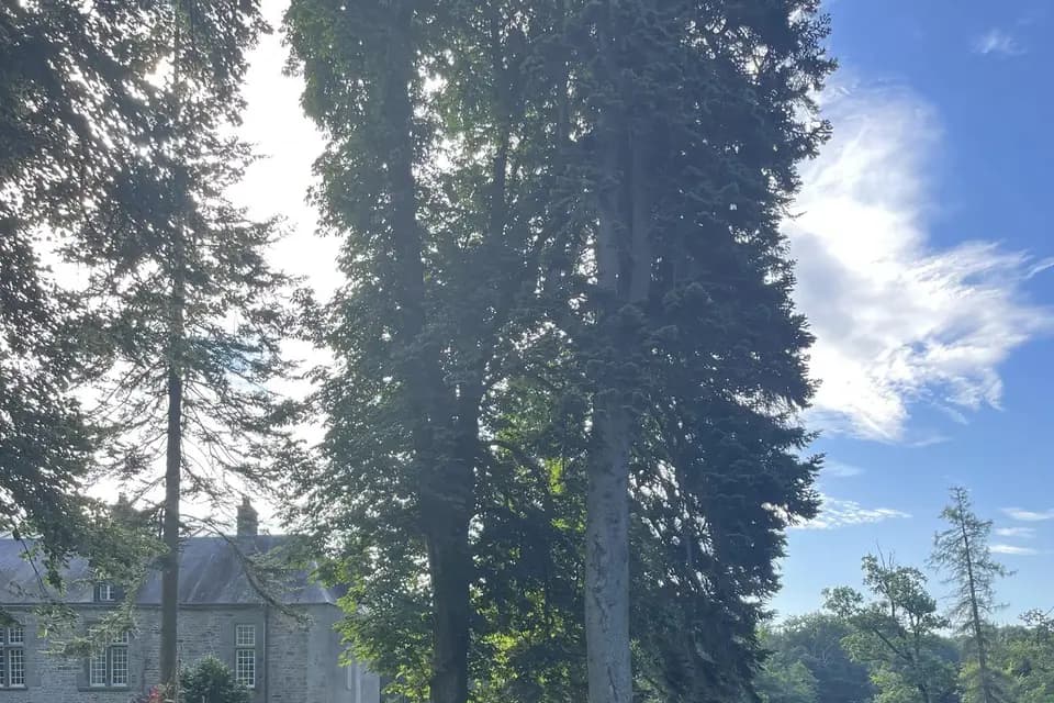 Château de Coulonces — photo 5