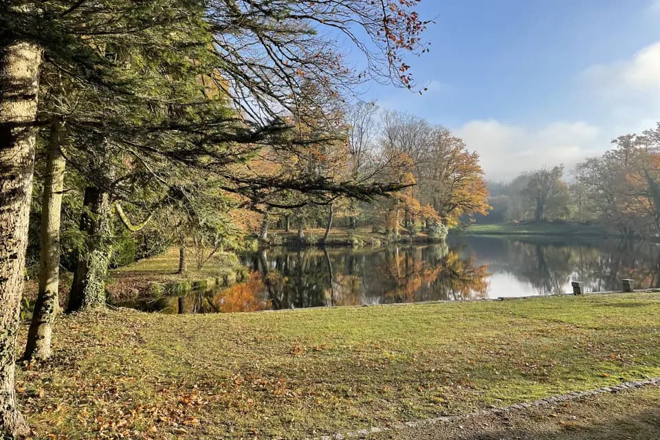 Château de Coulonces — photo 7