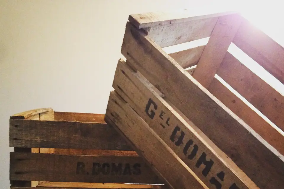 Les Petites Paillettes — photo 4