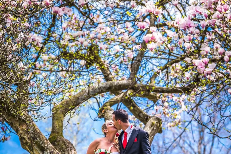 Sarans Reflections — photo 3