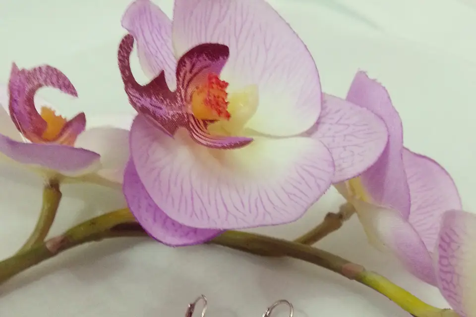 Les Noces Romantiques — photo 5