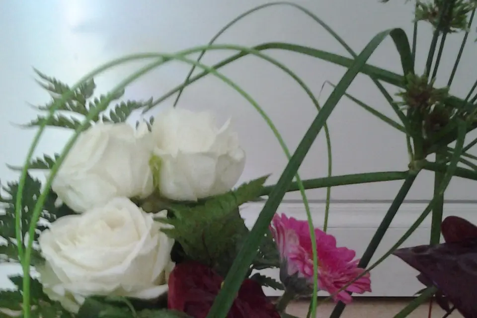 Floraservices — photo 8