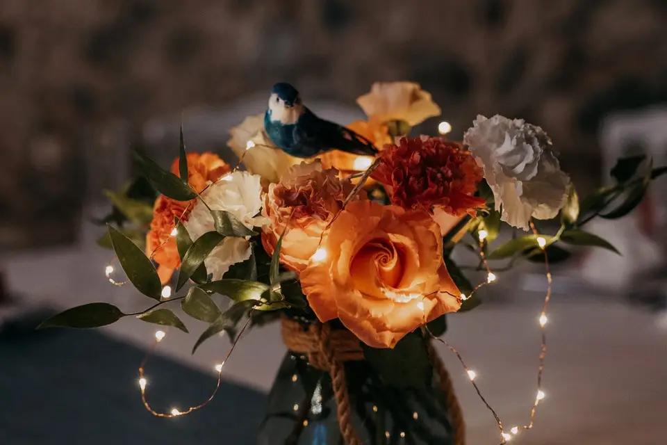 La Féérie de Lili — photo 4