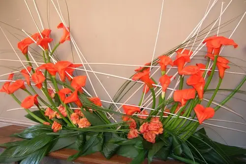 Floraservices — photo 2