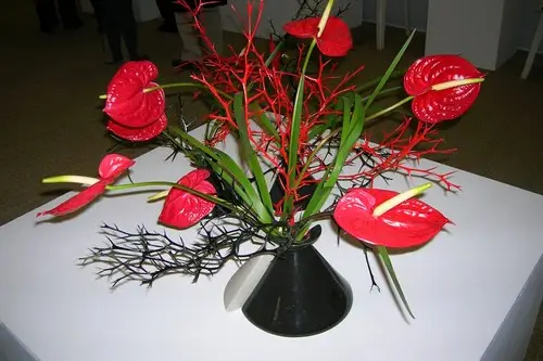 Floraservices — photo 3