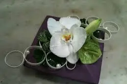 Floraservices — photo 7