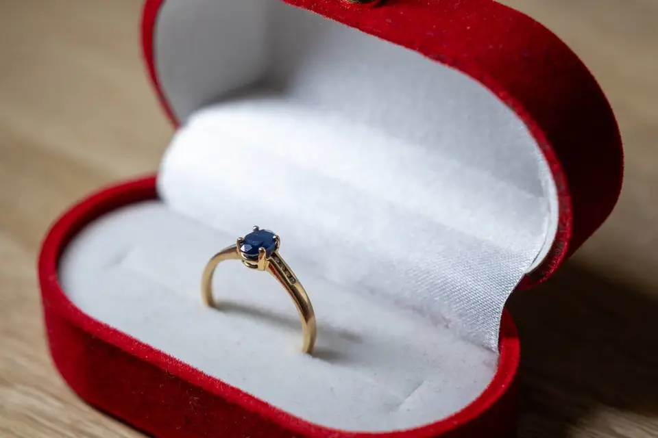 ADS Photographie — photo 5