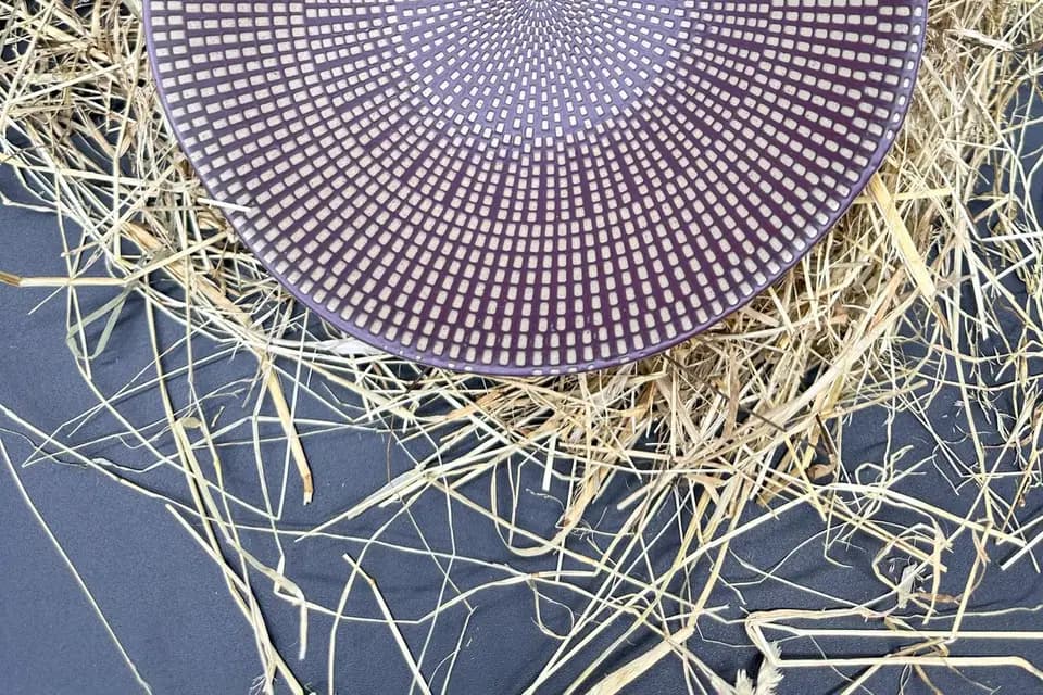 Gastrono'loc — photo 8