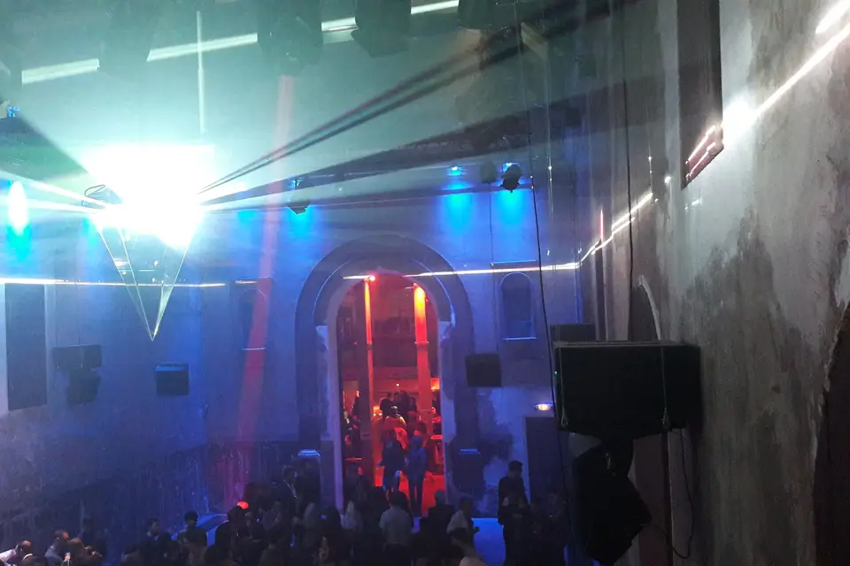 Tree Events — photo 7