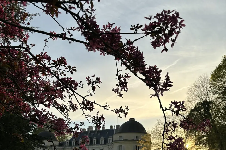 Château Royal de Benays — photo 5