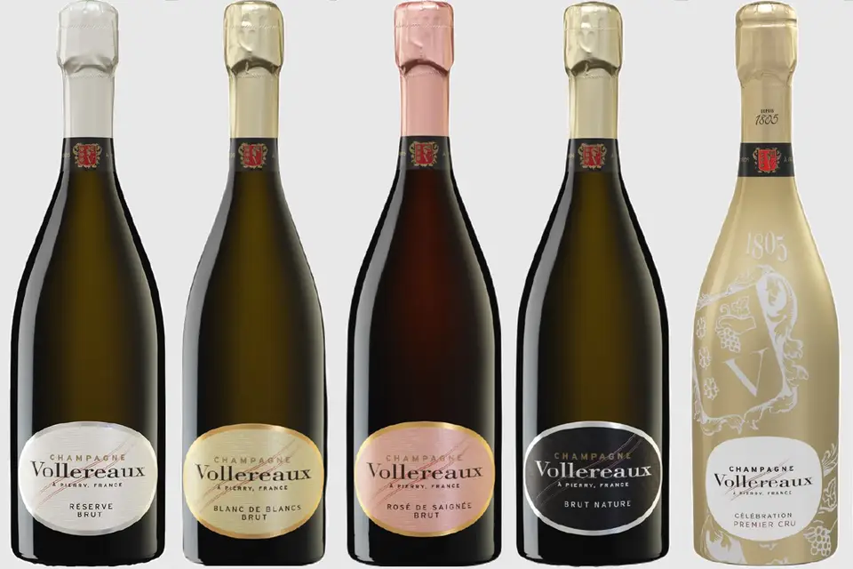 CumDeci Champagne — photo 8