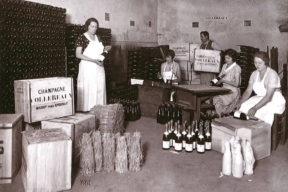 CumDeci Champagne — photo 6