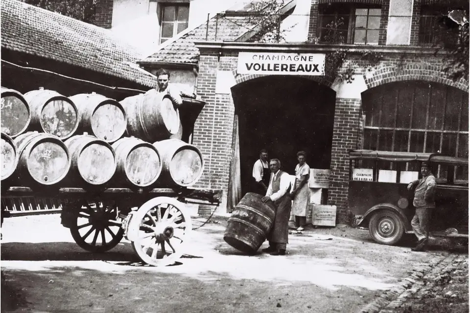 CumDeci Champagne — photo 7