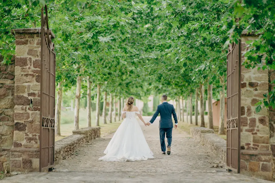 Rossello Pictures — photo 5