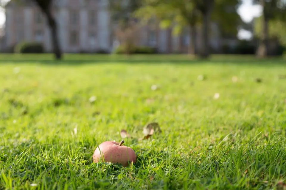 Domaine de la Petite Haye — photo 8