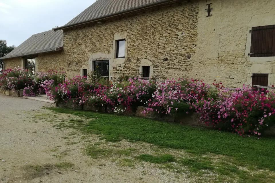 Ferme des Dames — photo 5