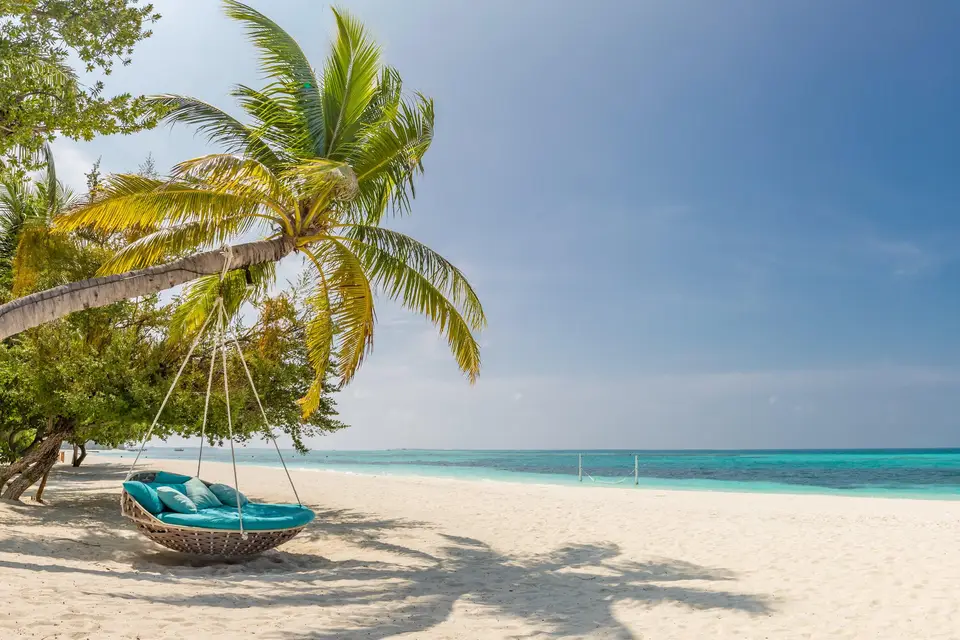 Le temps d'un voyage