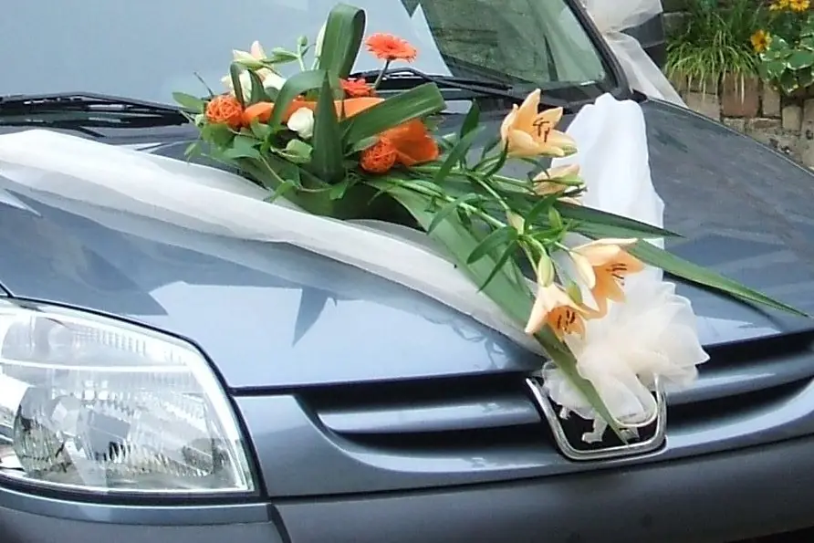 CelMariage — photo 3