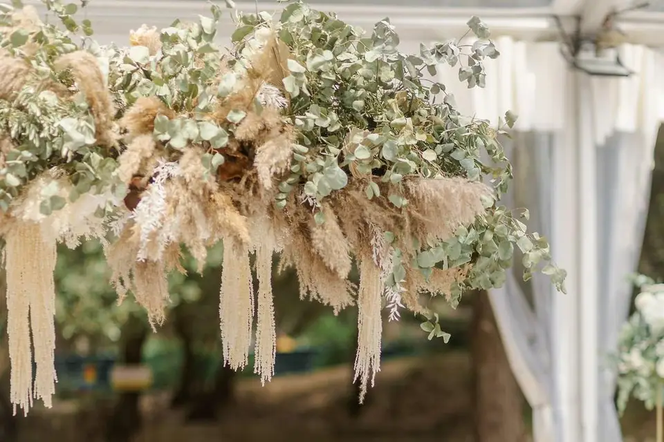 Arabesque — photo 5