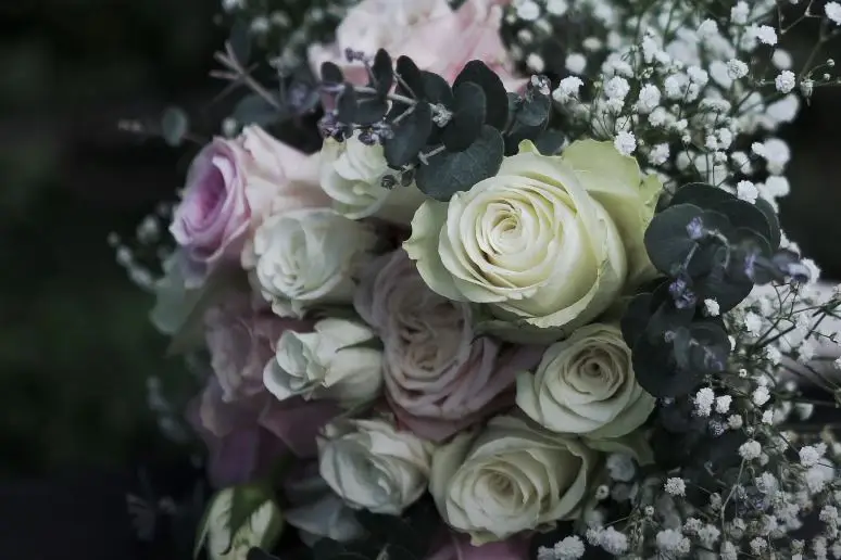 Tikazéla - Escale Tournon-Sur-Rhône — photo 5