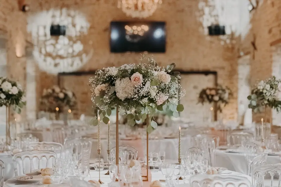 Msm Animation DJ Mello — photo 8