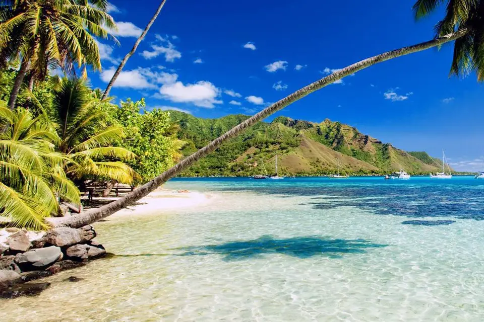 Terres du Monde — photo 1