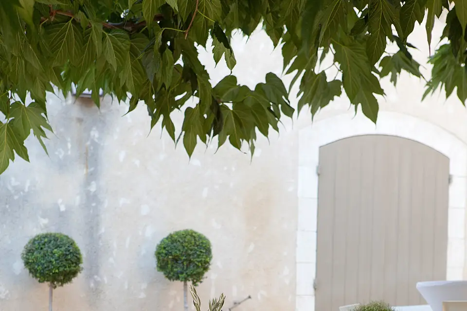 Domaine des Escaunes — photo 8