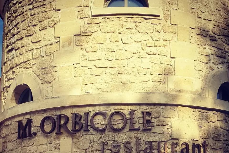 M.Orbicole — photo 4