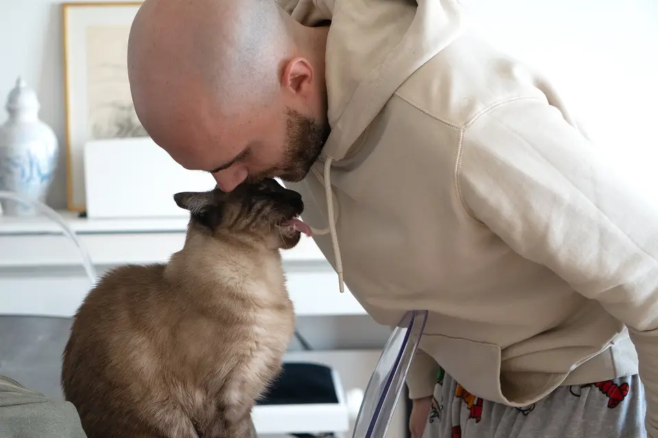 Studio Kitsune — photo 2