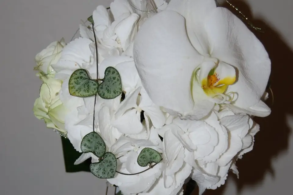 Art et Flor — photo 4