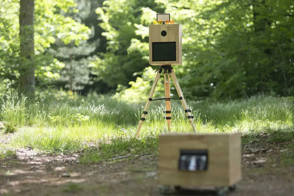 Aurélien Villemin- La Borne en Bois — photo 6