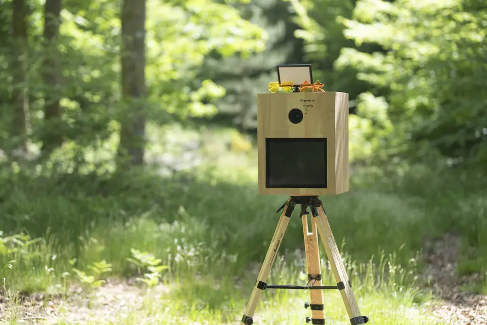 Aurélien Villemin- La Borne en Bois