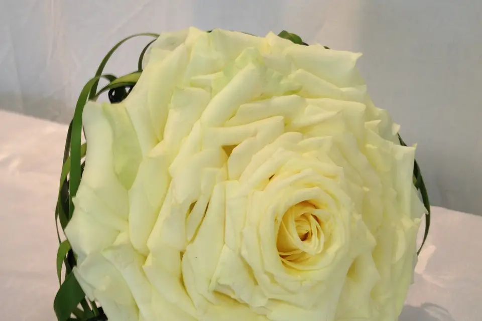 Art et Flor — photo 5