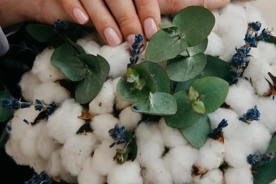 Caly Events — photo 1