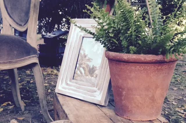 Mise en Fête — photo 3