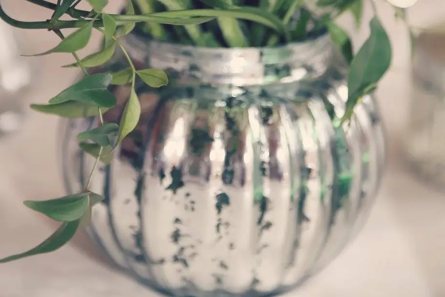 Mise en Fête — photo 2