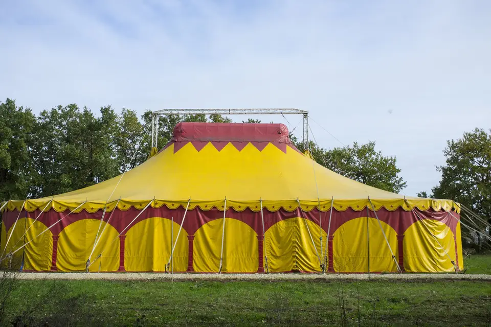 Planche de Cirque — photo 2