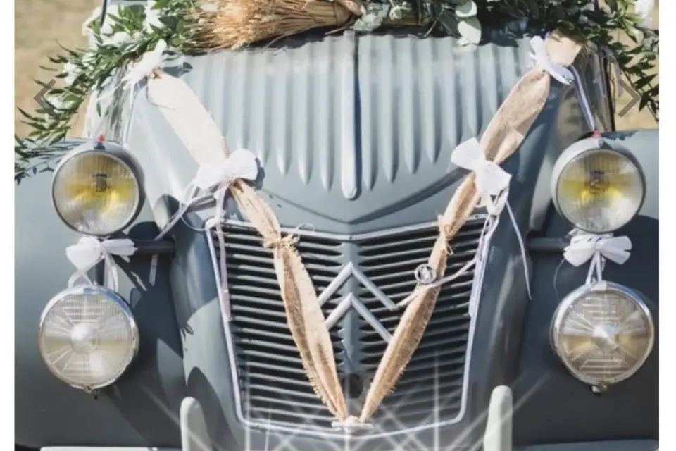 Domaine de l'Orangerie — photo 5