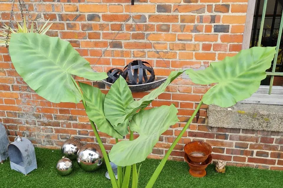 L'Atelier Baroque — photo 3