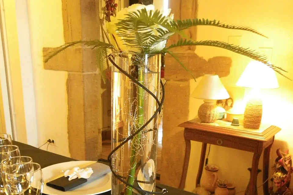 Amyrilla — photo 5