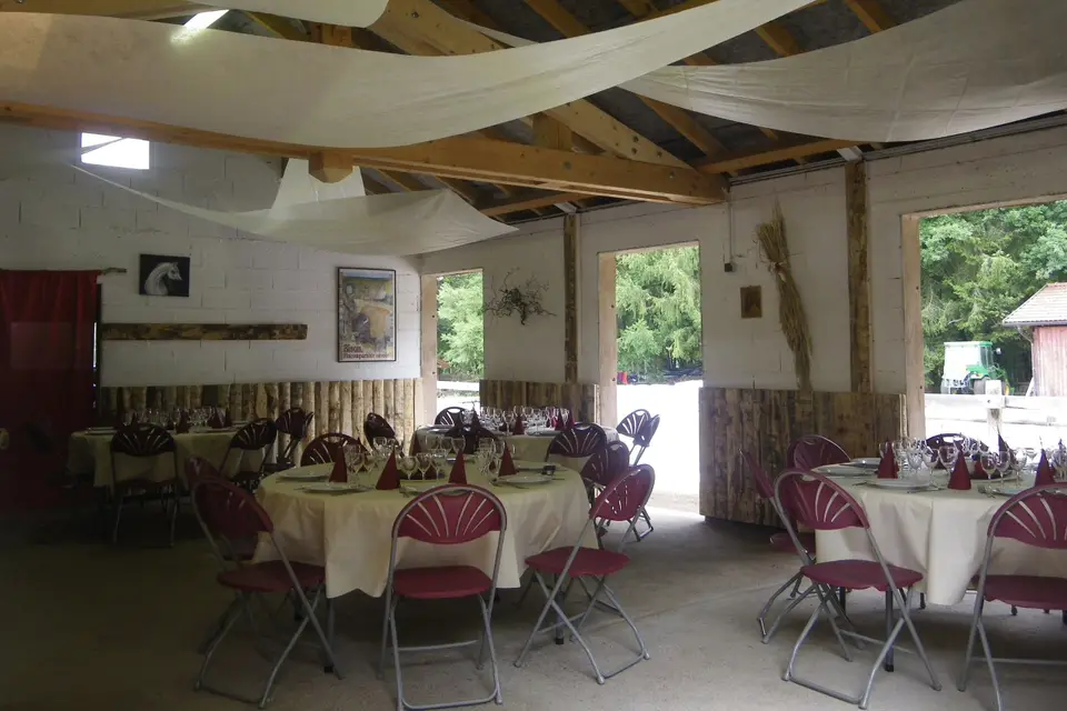 Amyrilla — photo 8