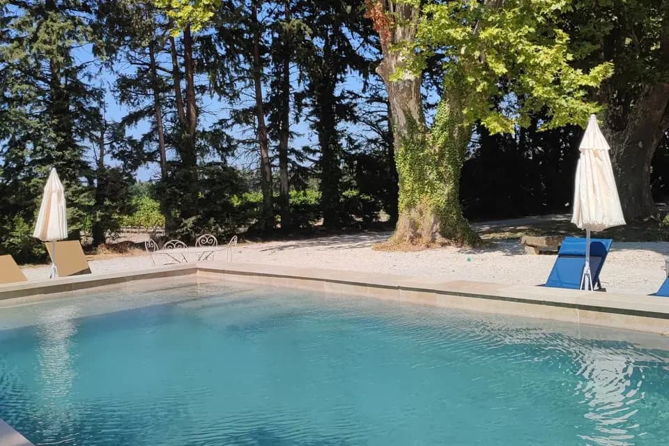 Domaine du Grand Singe — photo 5