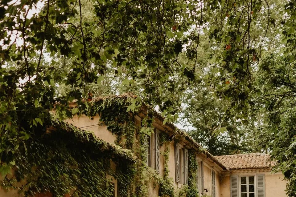 Domaine du Grand Singe