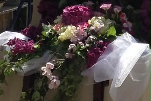 Excalibur - Mr Peschard — photo 2