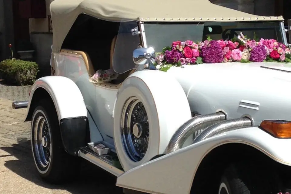 Excalibur - Mr Peschard — photo 3