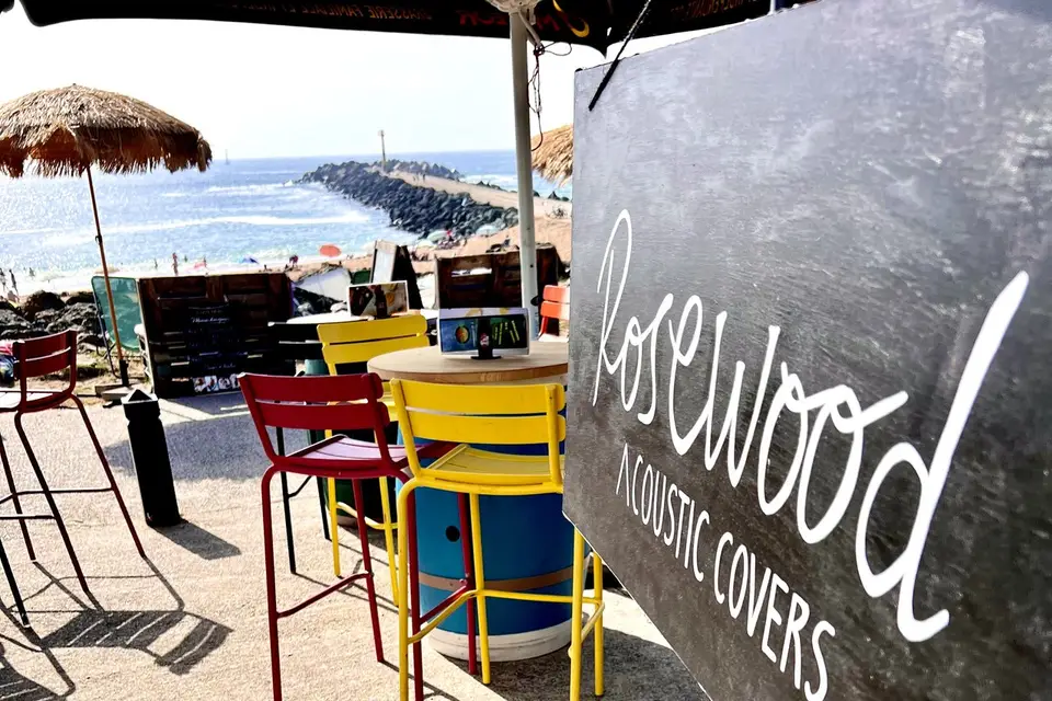 Rosewood Acoustic Covers — photo 6